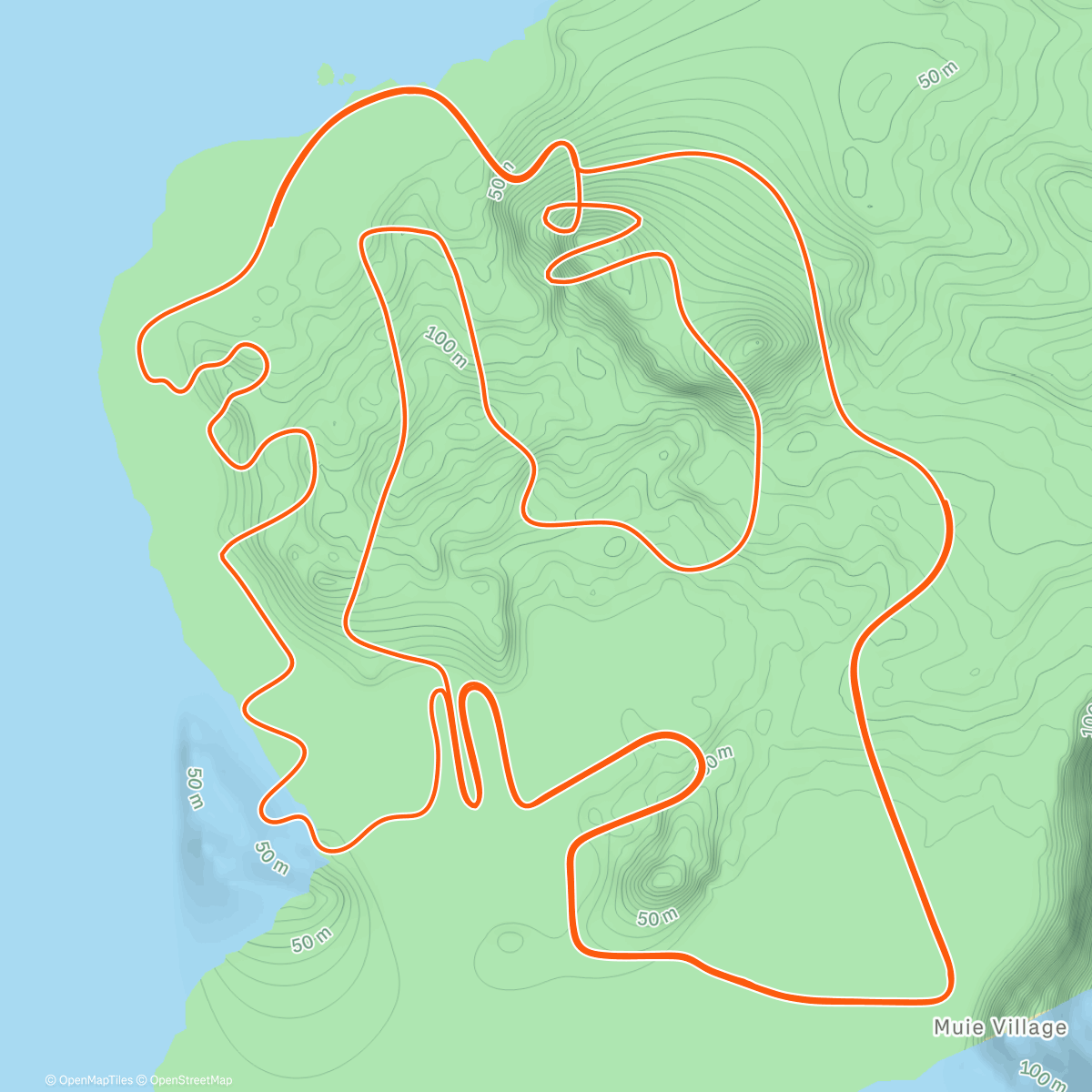 Map of the activity, Zwift - Figure 8 in Watopia