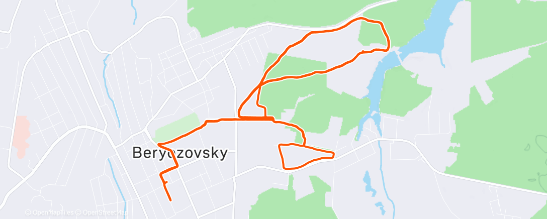 Карта физической активности (Полуденный забег)