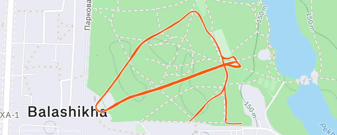 Карта физической активности (Утренний забег)