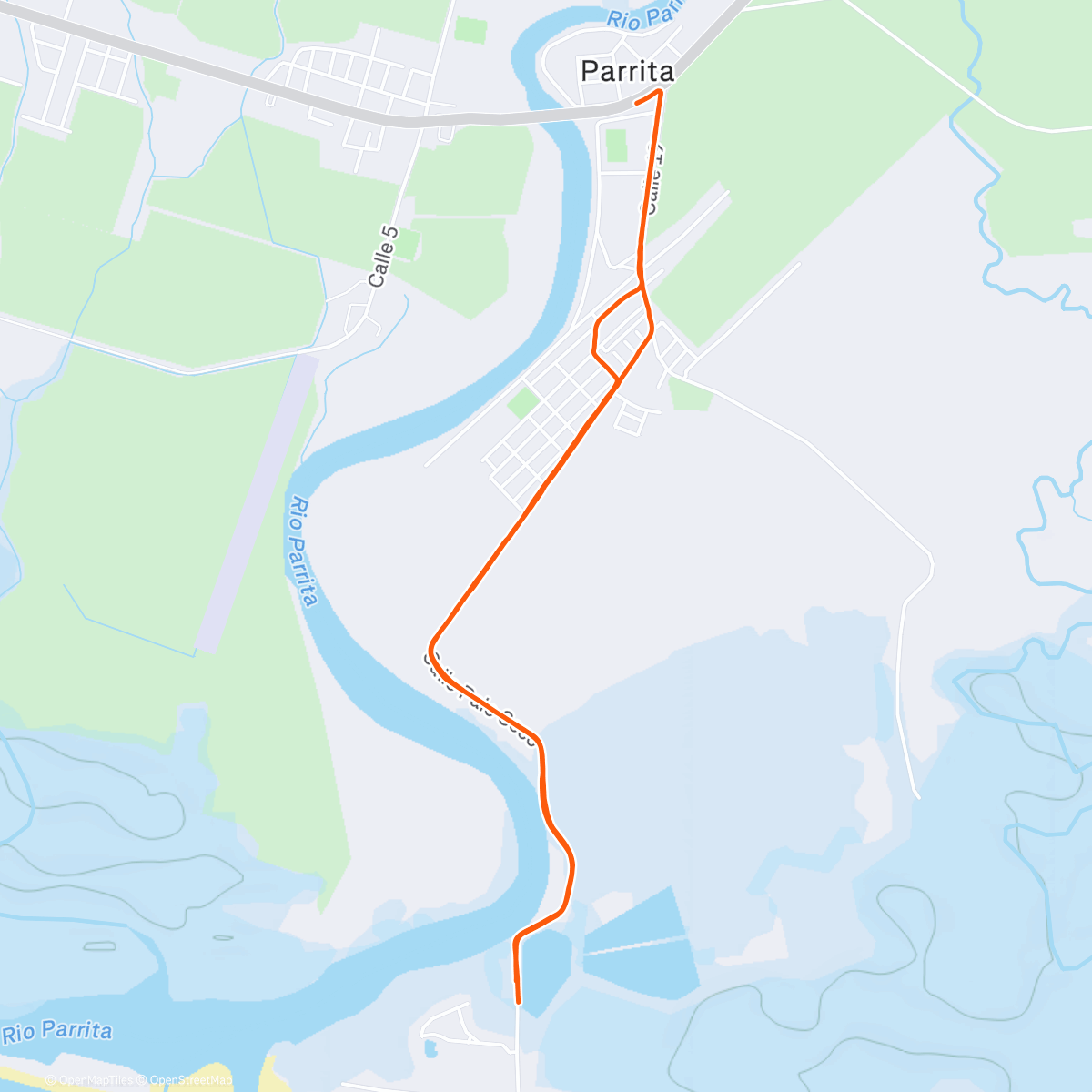 Map of the activity, Almond trees dripping with these