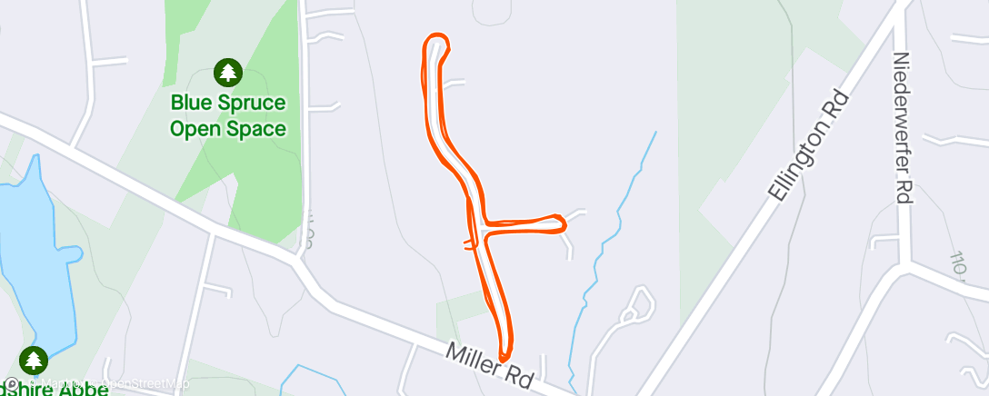 Map of the activity, Morning Walk 🌦️