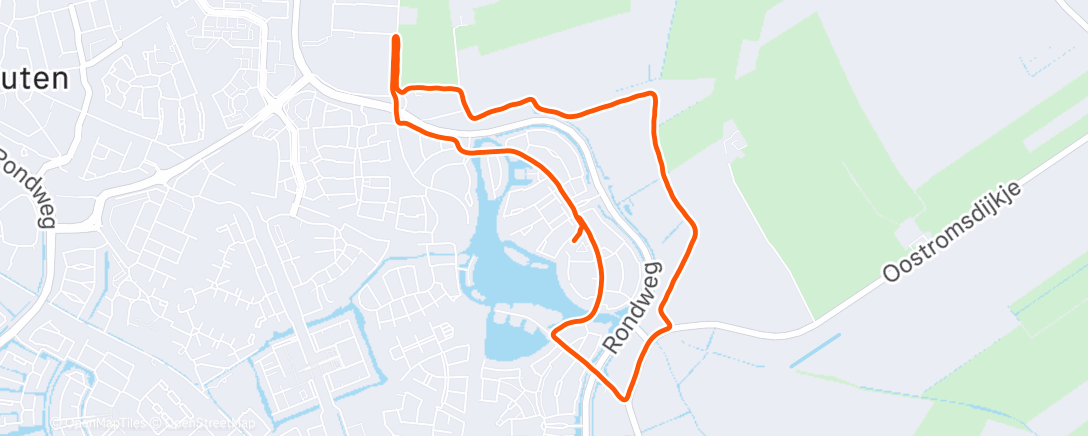 Map of the activity, Opportunismo