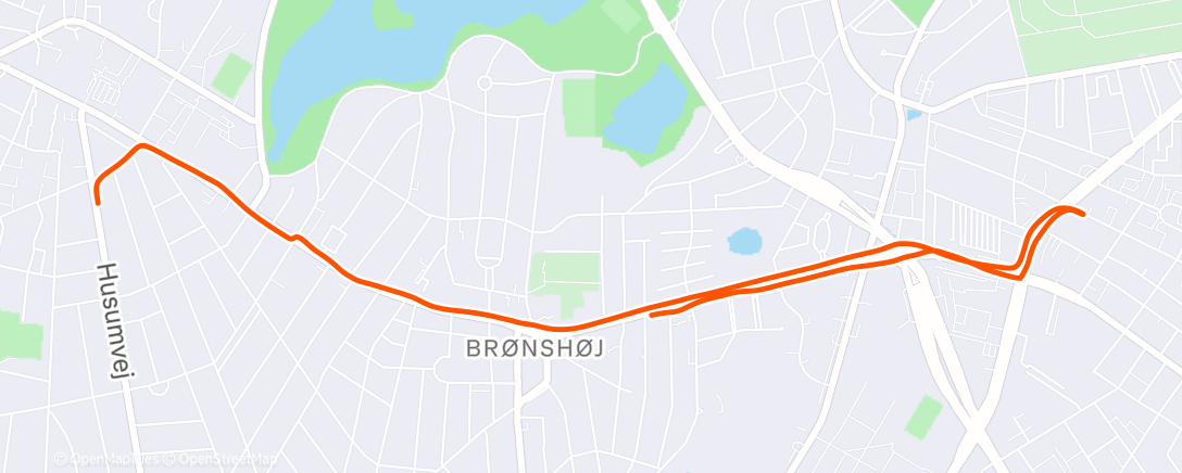 Карта физической активности (Morning Run)