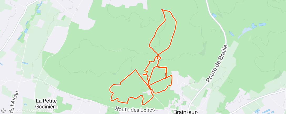 Map of the activity, Trail le matin