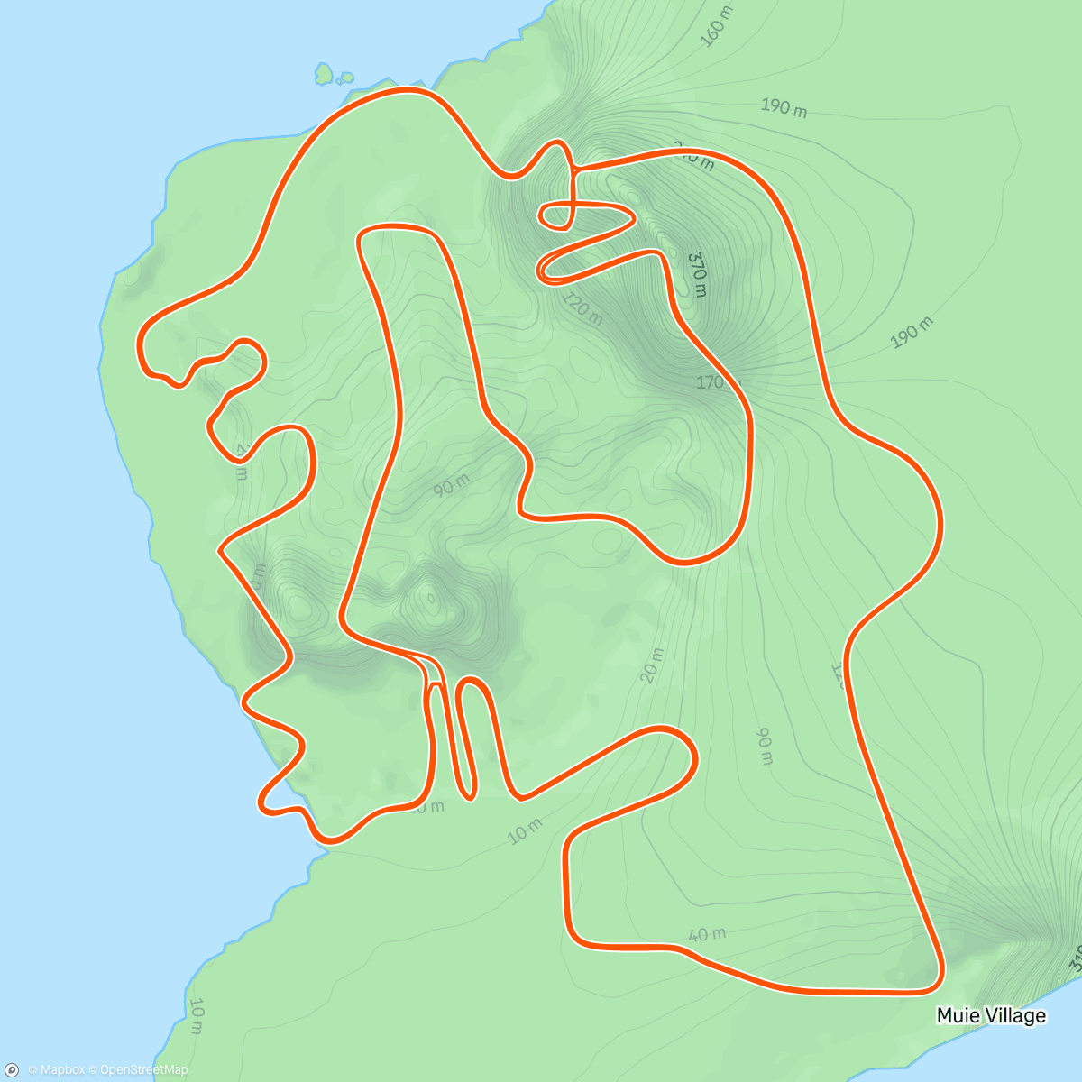 Map of the activity, Zwift - Figure 8 in Watopia