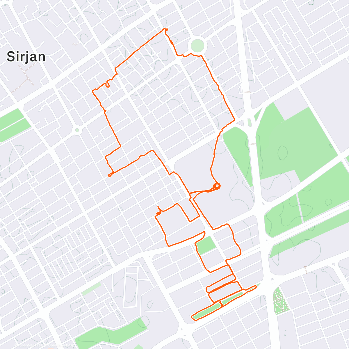 Карта физической активности (1349 + rooster run + 2StepN)