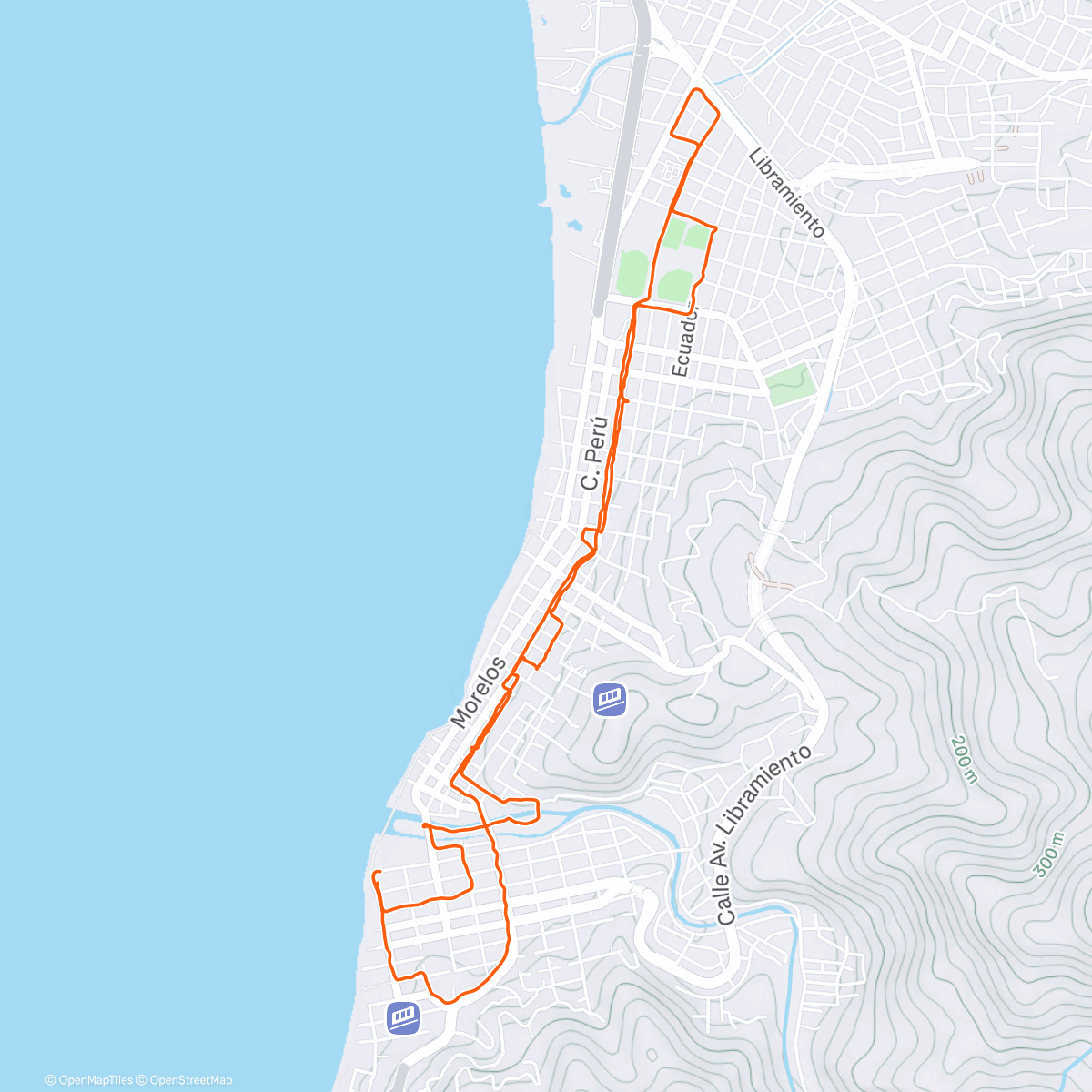 Карта физической активности (PV Art Run)