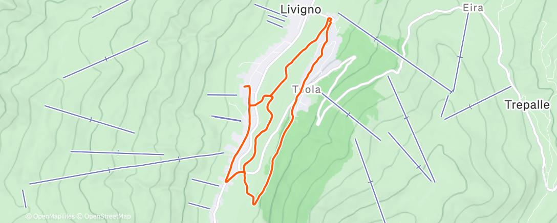 Map of the activity, Afternoon Run