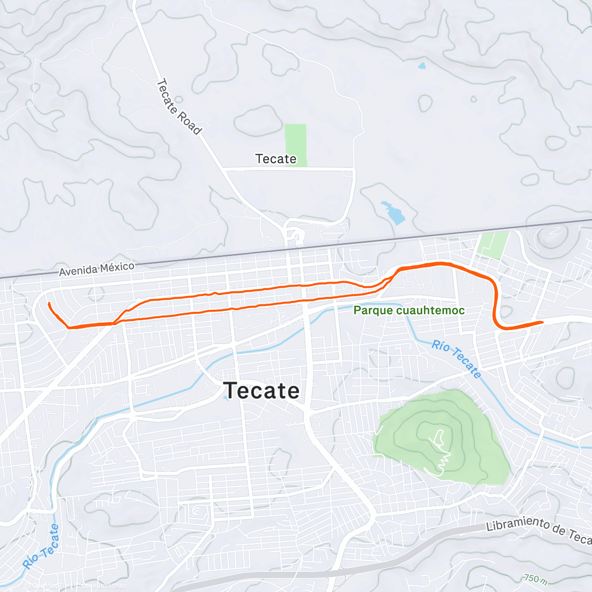 Карта физической активности (Morning Run)