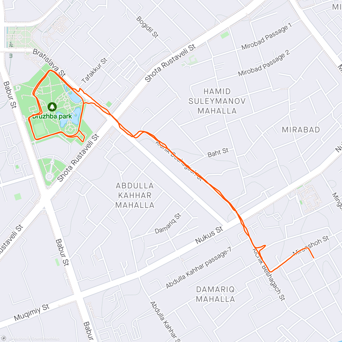 Map of the activity, Thaskent