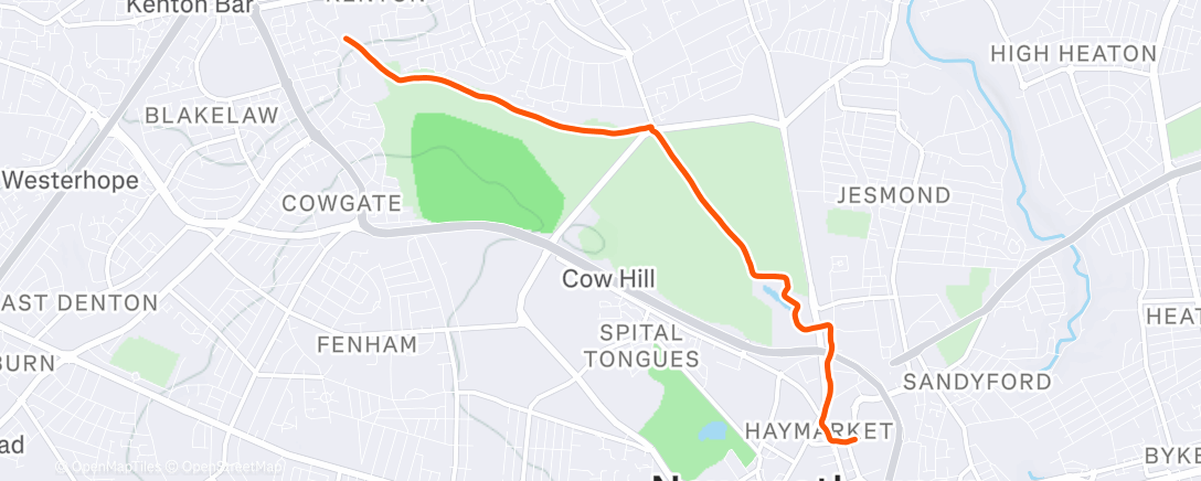 Map of the activity, Morning Run