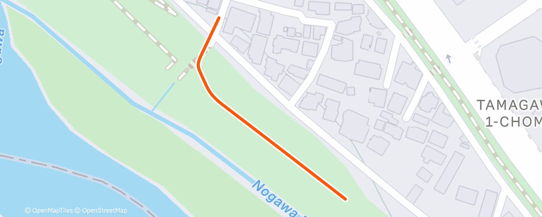 Карта физической активности (Afternoon Walk)