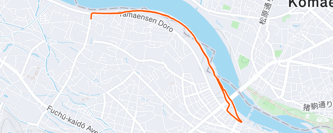 Карта физической активности (Lunch Run)