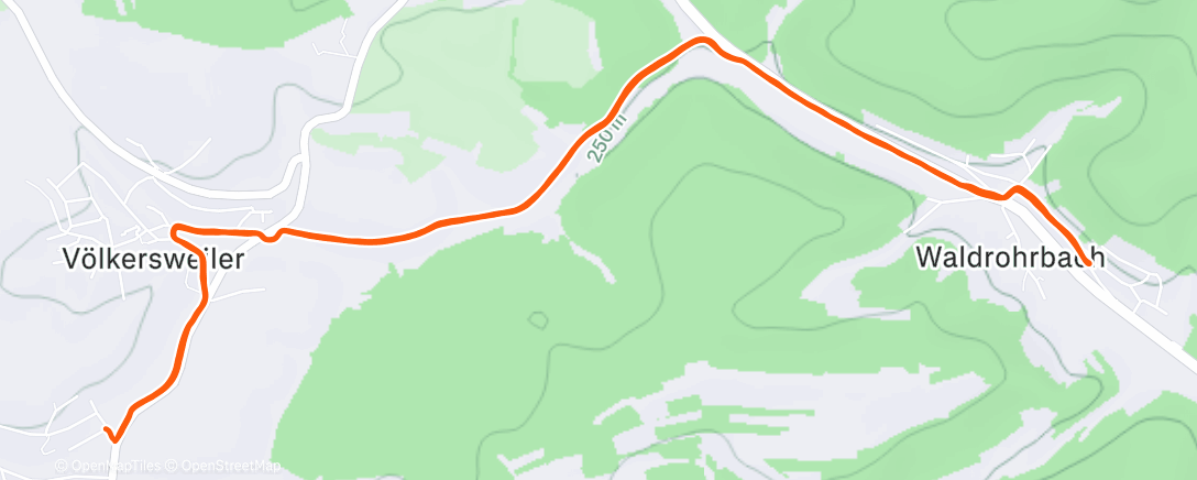 Карта физической активности (Morning Run)