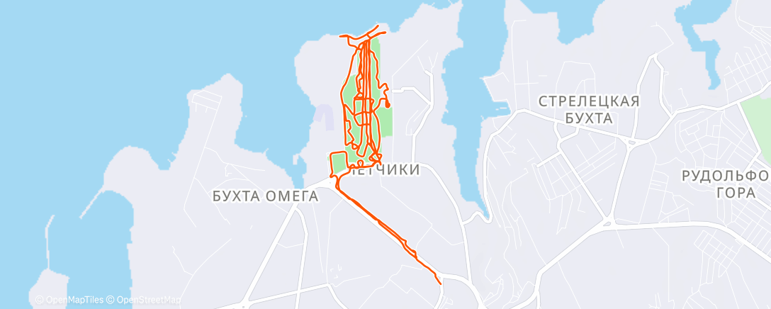 Карта физической активности (Bpm 140 easy)