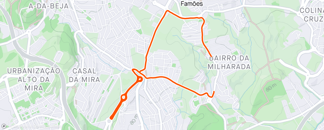 Map of the activity, 2024_#132 ( Interval Run 5 X 3'_/3'R )
