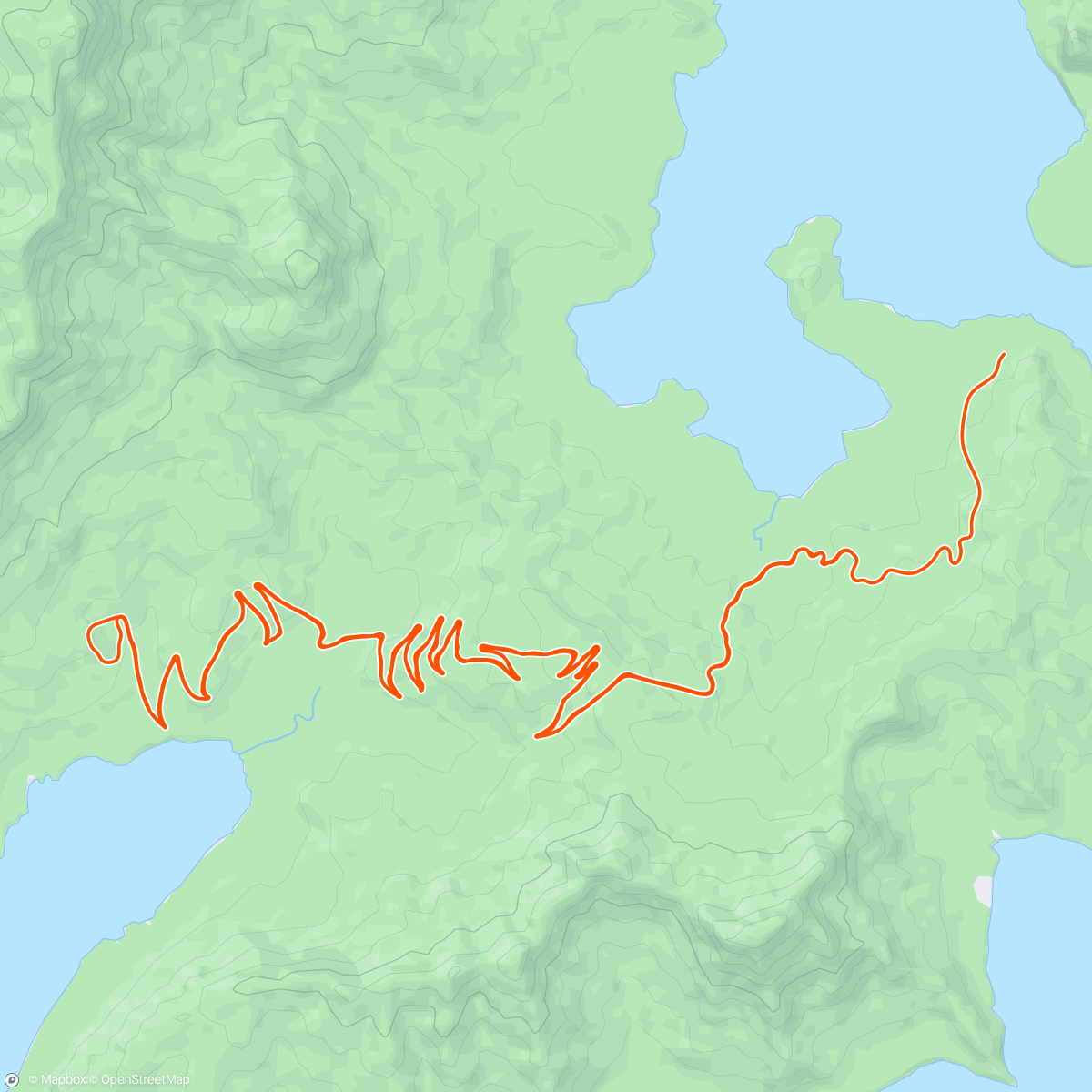 Map of the activity, Alpe du Zwift 🏔🫠