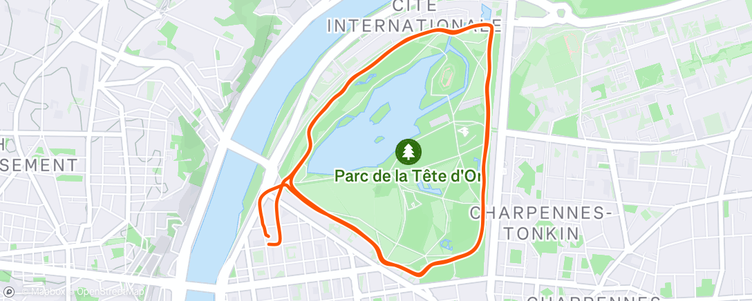 Map of the activity, Afternoon Run