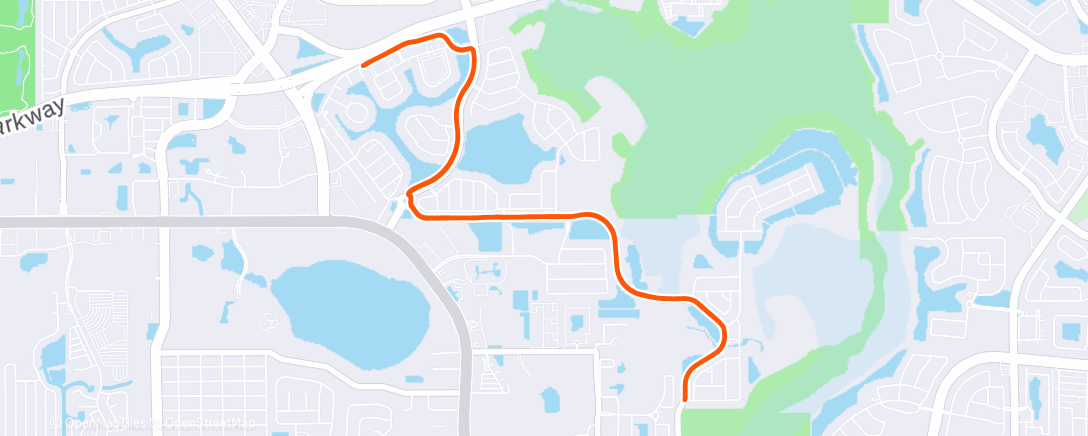 Map of the activity, Evening Run