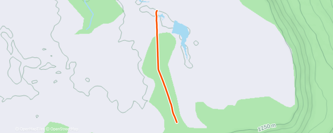 Карта физической активности (Afternoon Ride)