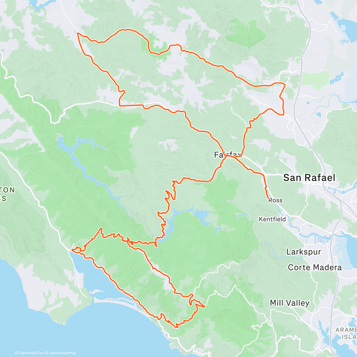 Карта физической активности (Reunited and it feels so good 🫶)