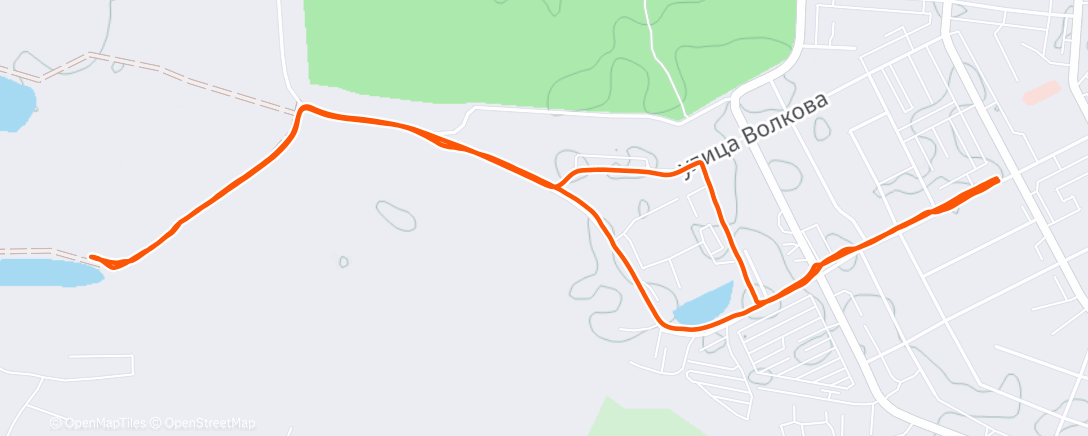 Карта физической активности (Вечерний забег)