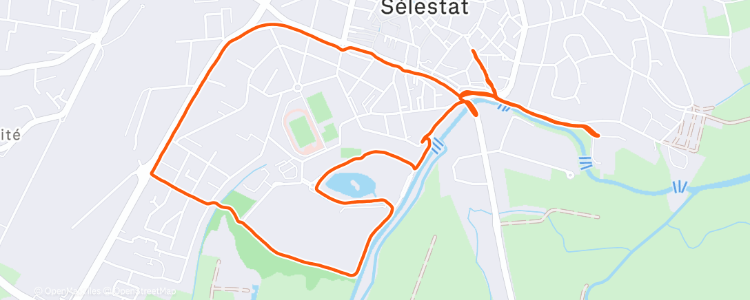 Map of the activity, Morning run