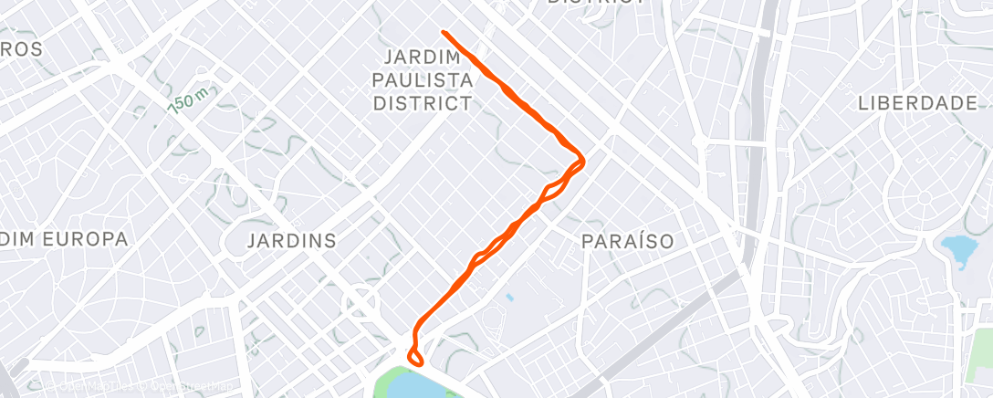 Map of the activity, Morning Run