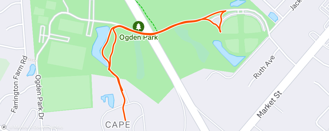 Map of the activity, Morning Walk