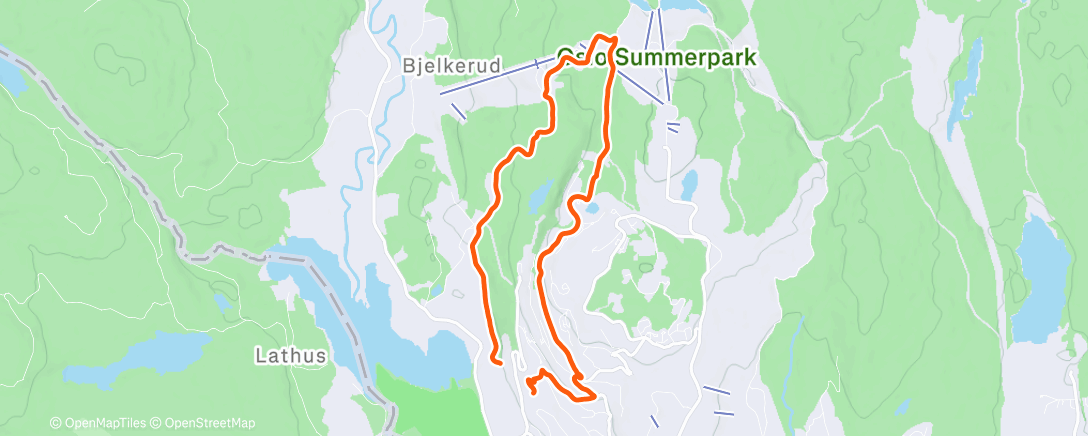 Карта физической активности (Afternoon Walk)