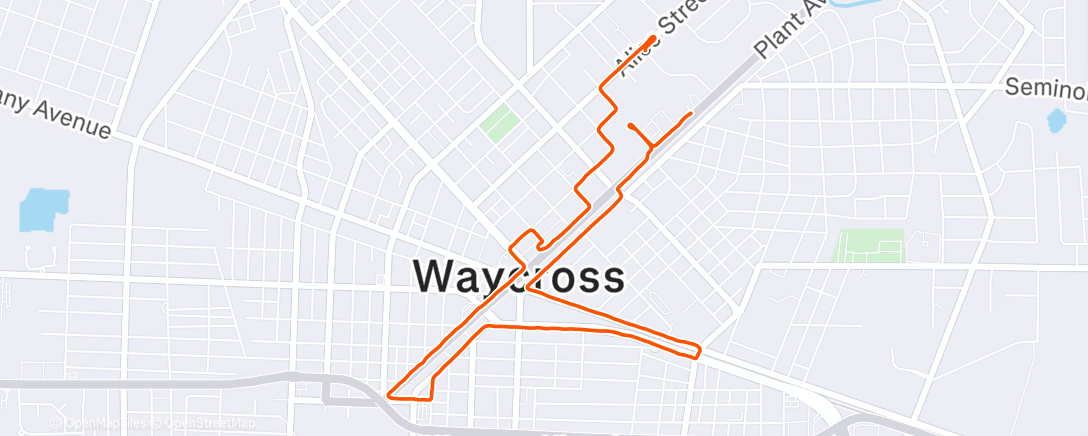 Map of the activity, Morning Run
