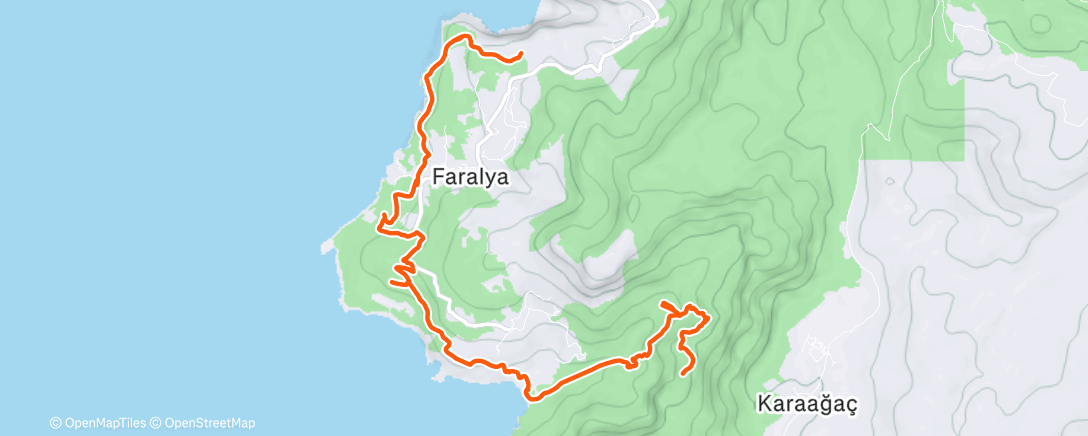 Карта физической активности (Утренняя прогулка)