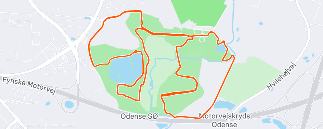 Карта физической активности (Morning Run)