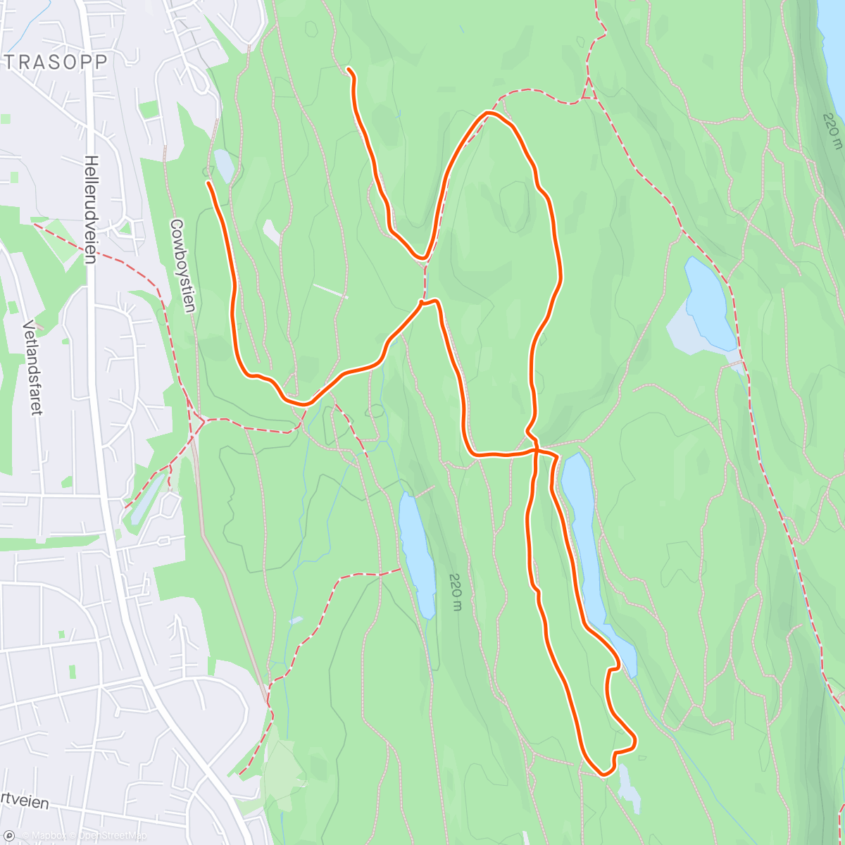 Map of the activity, Finfint i skogen nå - rolig snublerunde med Lisa