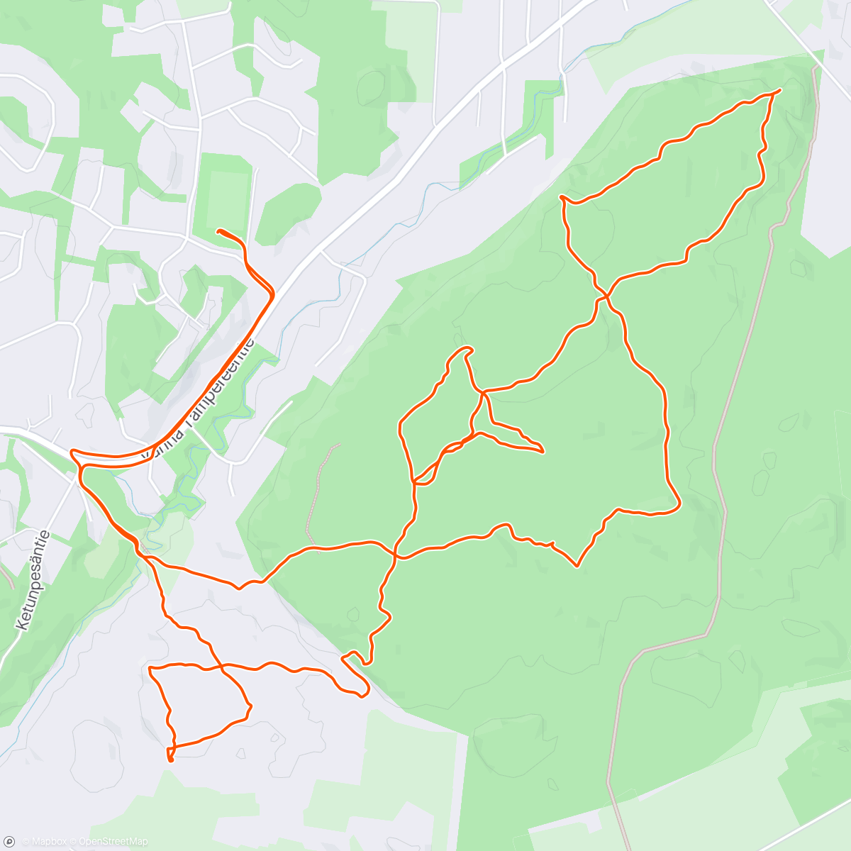 Mapa de la actividad (Palovuori 🇫🇮 Orienteering paradise in Lieto)