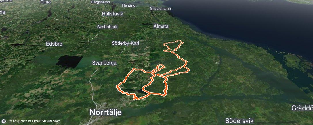 Peter Lindqvist | Strava Cyclist Profile