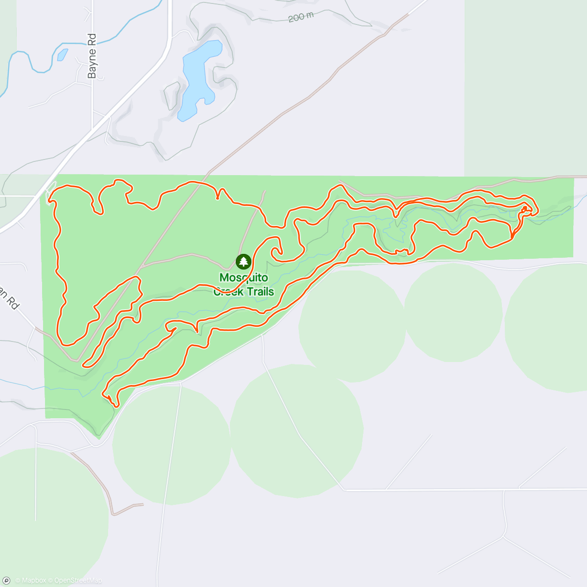 Map of the activity, Mosquito 🦟 Creek with Kat and Rion