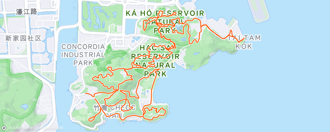 Map of the activity, Lunch Trail Run