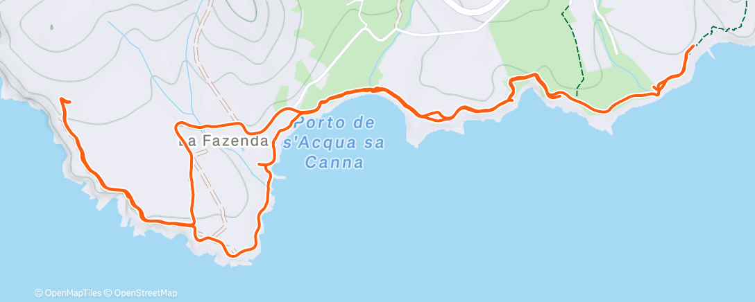 Карта физической активности (Afternoon Trail Run)