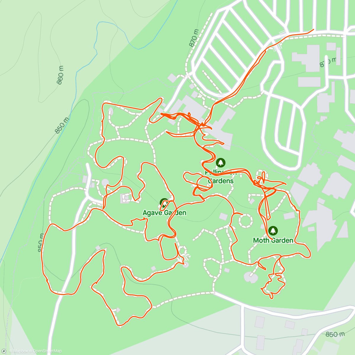 Карта физической активности (Desert Museum Walk)