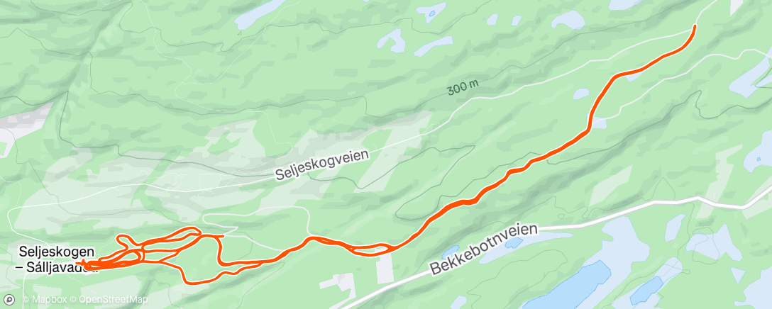 Map of the activity, Lunch Nordic Ski