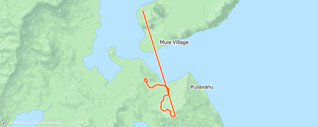 Map of the activity, Zwift - 4 miles recovery