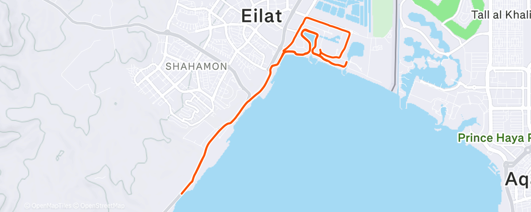 Map of the activity, Morning Run