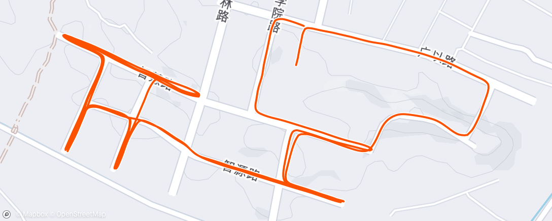 Map of the activity, Evening Run