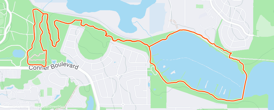Map of the activity, Morning Run