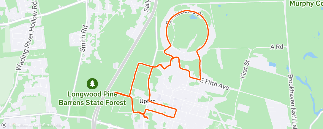 Map of the activity, Morning Run