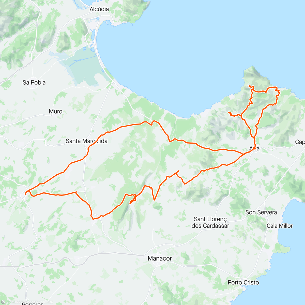 Map of the activity, Epic ride. Found some legs. Not mine