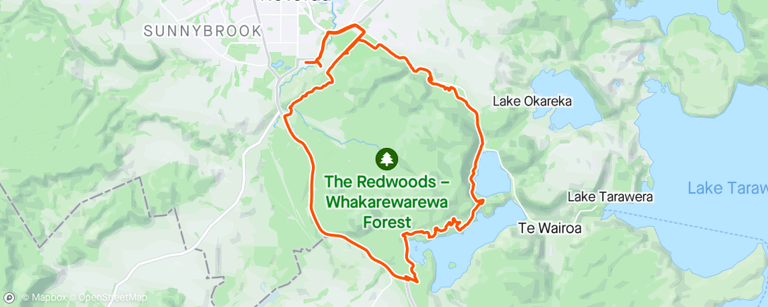 Map of the activity, Seightseeing in the woods of Rotorua