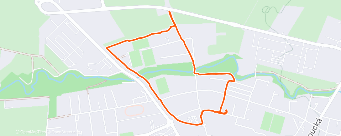 Карта физической активности (Afternoon Walk)