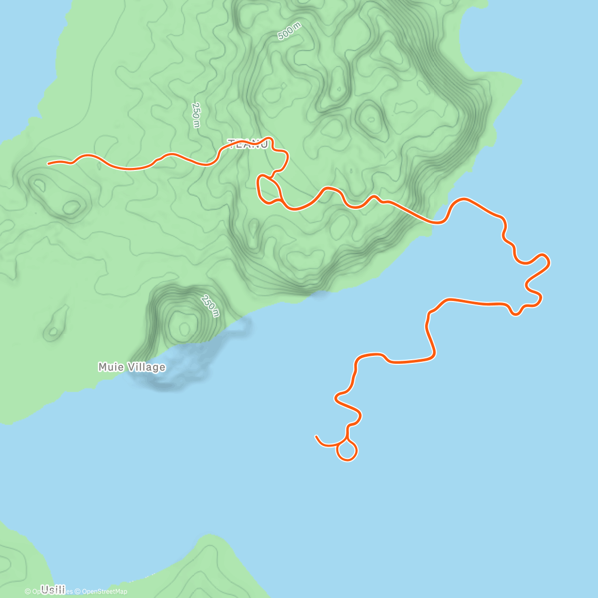 Map of the activity, Zwift